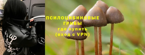прущий лед Алексин