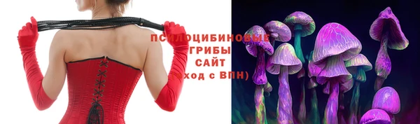 прущий лед Алексин