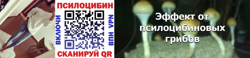 mega ссылки  цены   Челябинск  Галлюциногенные грибы Psilocybe 